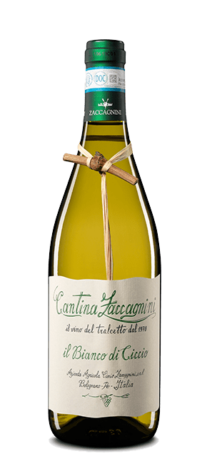 Il Bianco di Ciccio Cantina Zaccagnini 750ml